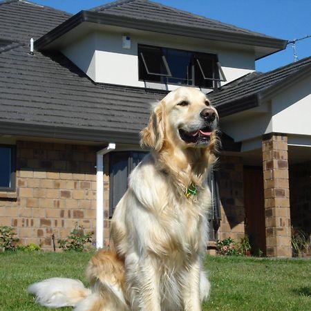 Ohuka Place Homestay Whitianga Exteriör bild