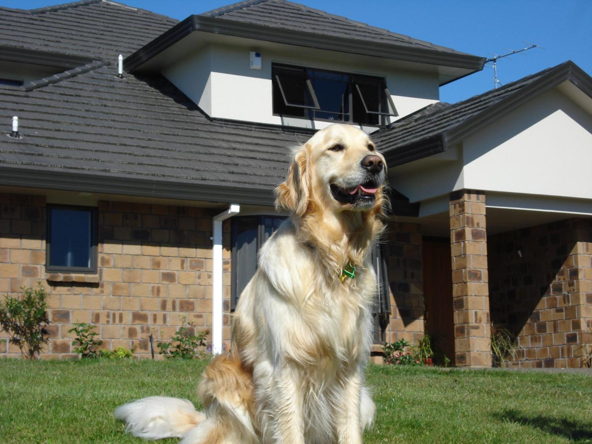 Ohuka Place Homestay Whitianga Exteriör bild