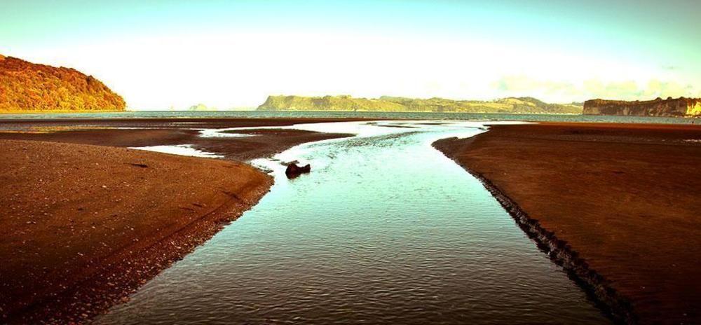 Ohuka Place Homestay Whitianga Exteriör bild