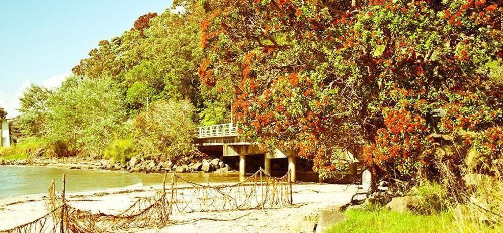 Ohuka Place Homestay Whitianga Exteriör bild